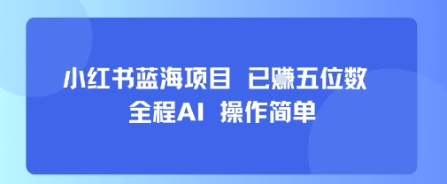 小红书蓝海项目，全程AI，操作简单，已挣五位数-网创项目