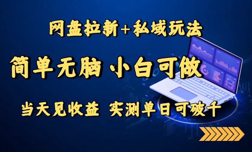 网盘拉新+私域玩法，简单无脑，小白可做，当天见收益，实测单日可破千-网创项目