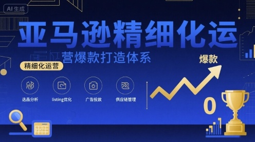 亚马逊精细化运营爆款打造体系，视频课+全套资料文档-网创项目