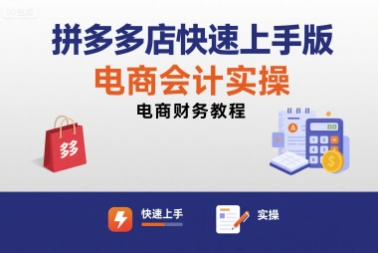 拼多多店快速上手版电商会计实操-电商财务教程-网创项目