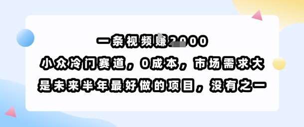 一条视频挣1k，小众冷门赛道，0成本，市场需求大，是未来半年最好做的项目，没有之一-网创项目