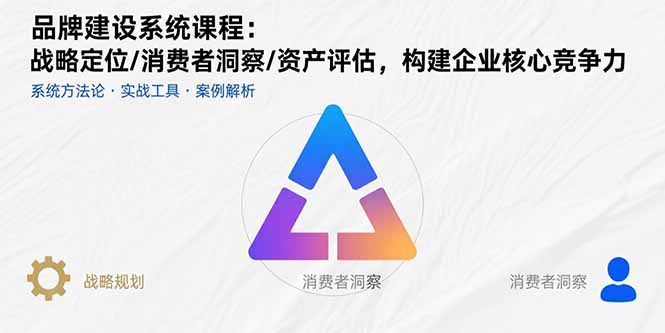 品牌建设系统课程：战略定位/消费者洞察/资产评估，构建企业核心竞争力-网创项目