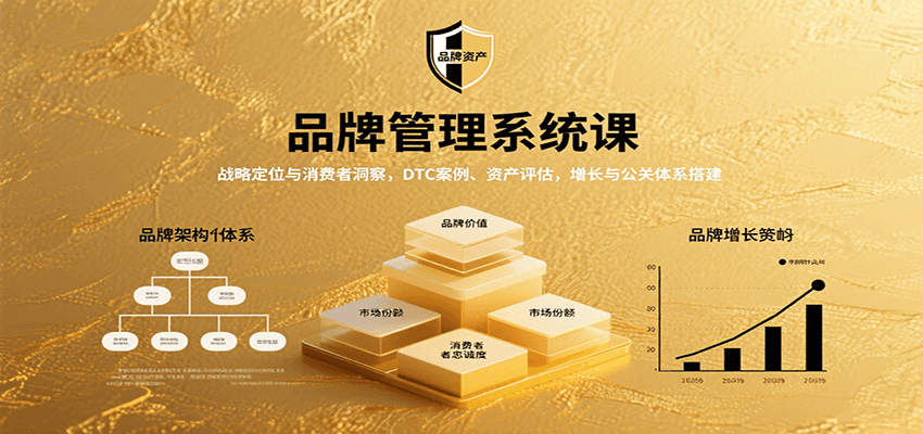 品牌管理系统课：战略定位与消费者洞察，DTC案例、资产评估，增长与公关体系搭建-网创项目