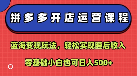 拼多多开店运营课程：蓝海变现玩法，轻松实现睡后收入，零基础小白也可日入5张-网创项目