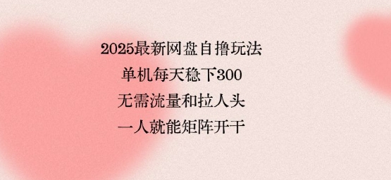 2025最新网盘自撸玩法，单机每天稳下3张，无需流量和拉人头，一个人就可轻松矩阵，全网独一份【揭秘】-网创项目