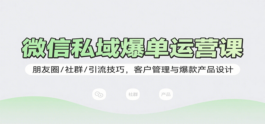 微信私域爆单运营课：朋友圈/社群/引流技巧，客户管理与爆款产品设计-网创项目