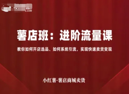 小红薯薯店商城卖货，进阶流量课，教你如何开店选品、如何系统引流，实现快速卖货变现-网创项目