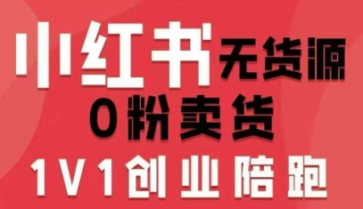 小红书无货源0粉电商课，开店准备、选品策略、笔记撰写、视频剪辑、数据分析、账号打造、资料文档-网创项目