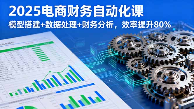 2025电商财务自动化课，模型搭建+数据处理+财务分析，效率提升80%-网创项目